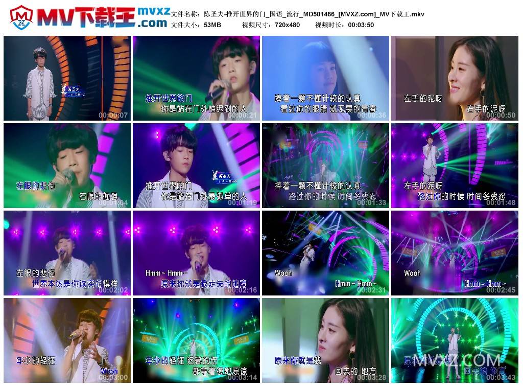 陈圣夫-推开世界的门_国语_流行_MD501486